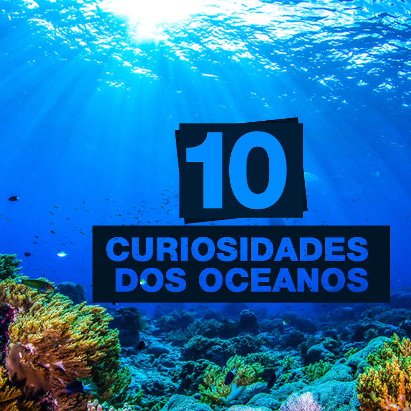 10 Curiosidades Sobre Os Oceanos Catarina Náutica